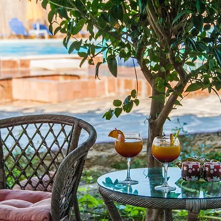 Zante Nest & 4* 알리카나스