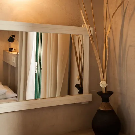 Zante Nest & 4*