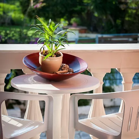 Aparthotel Zante Nest & Alykanas (Zakynthos)