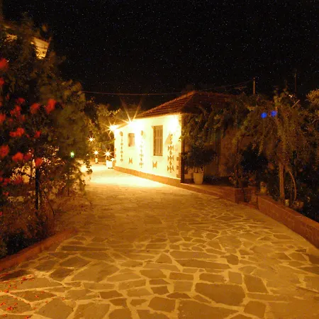 Zante Nest & 4* Alykanas (Zakynthos)