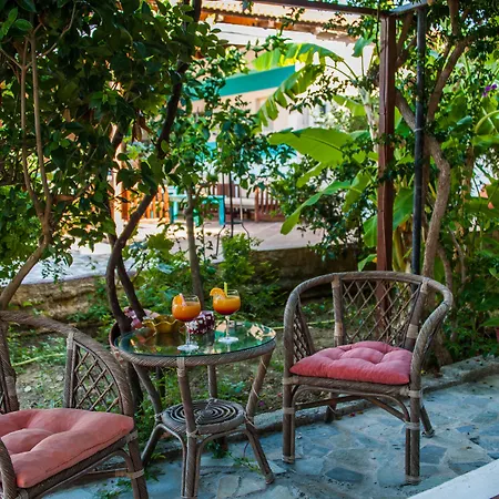 Zante Nest & Aparthotel