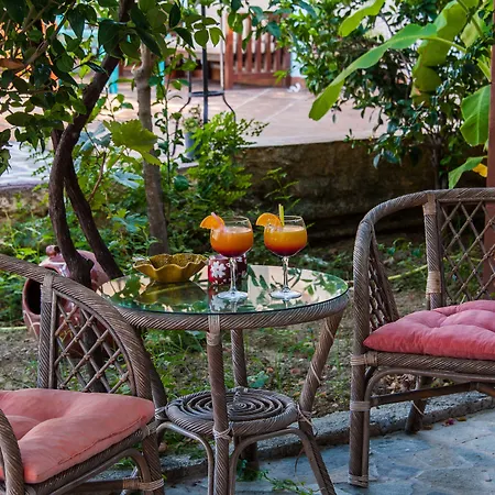 Aparthotel Zante Nest & Alykanas (Zakynthos)