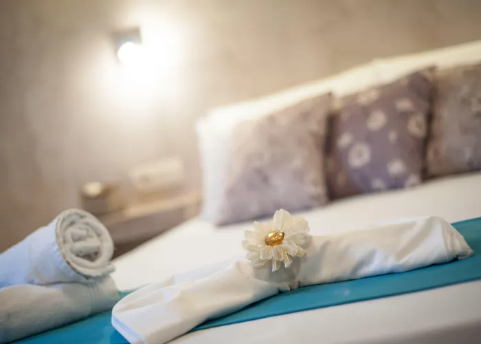 Zante Nest Studios&apartments