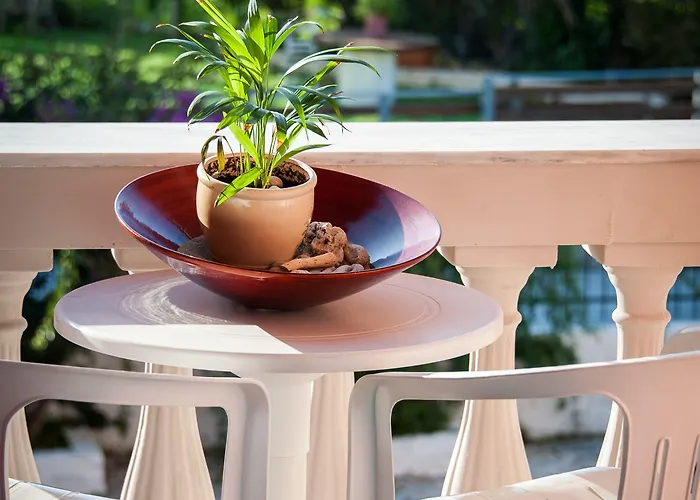 Apartahotel Zante Nest Studios&apartments Alykanas (Zakynthos)