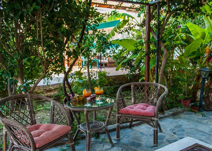 Zante Nest Studios&apartments Apartahotel