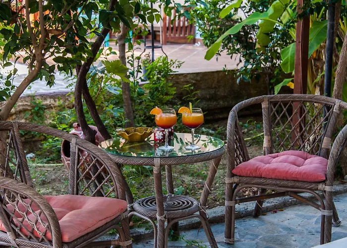 Apartahotel Zante Nest Studios&apartments Alykanas (Zakynthos)